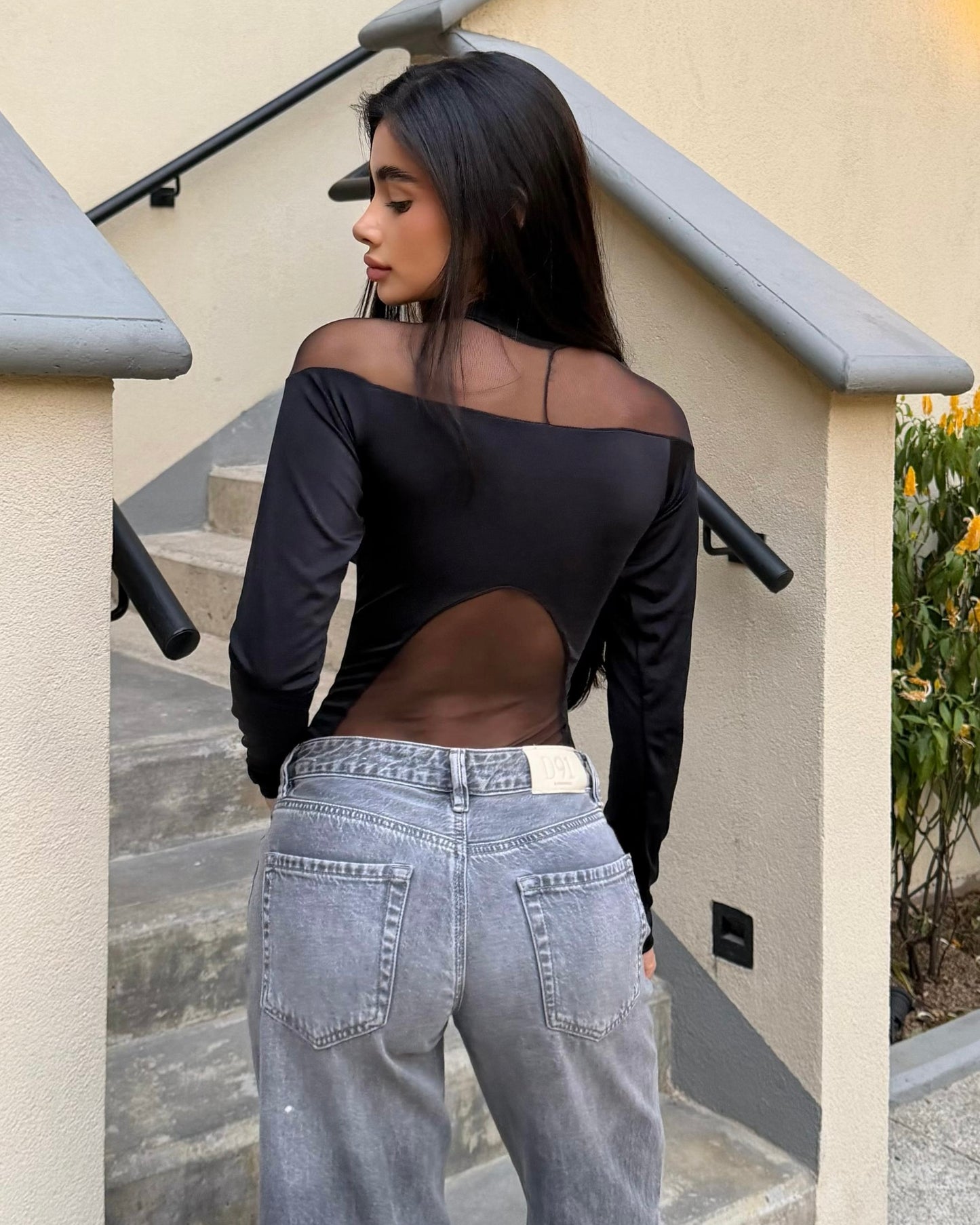 Body ambar